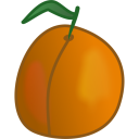 apricot